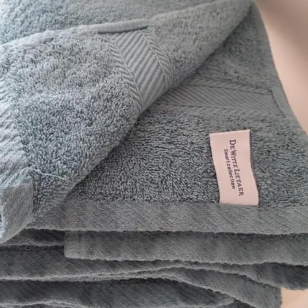 't Zonneroosje Hébergement de vacances *